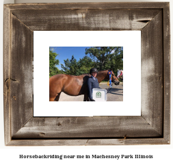 horseback riding near me in Machesney Park, Illinois